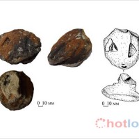 Giải mã bí mật về “Đầu Rắn” nghìn năm tuổi